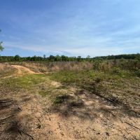 Jackson Parish Timber Tract 5B images 4