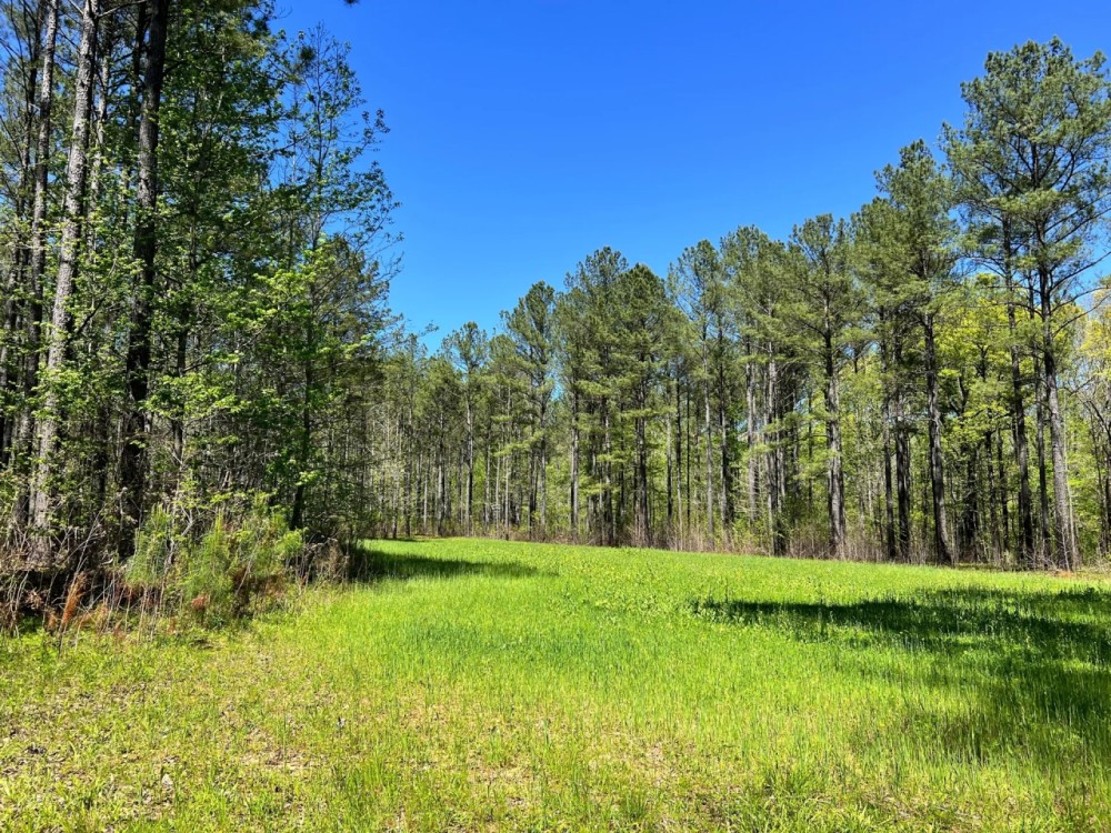 00-002-bogan-mountain-retreat featured image