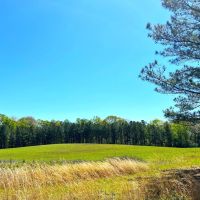 00-002-bogan-mountain-retreat images 2