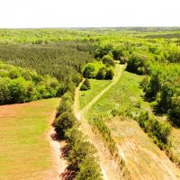 00-002-bogan-mountain-retreat images 3