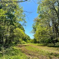 00-002-bogan-mountain-retreat images 5