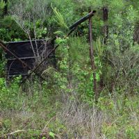 Big Creek Estate images 4