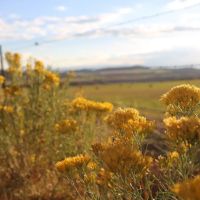 The Hilltop images 4