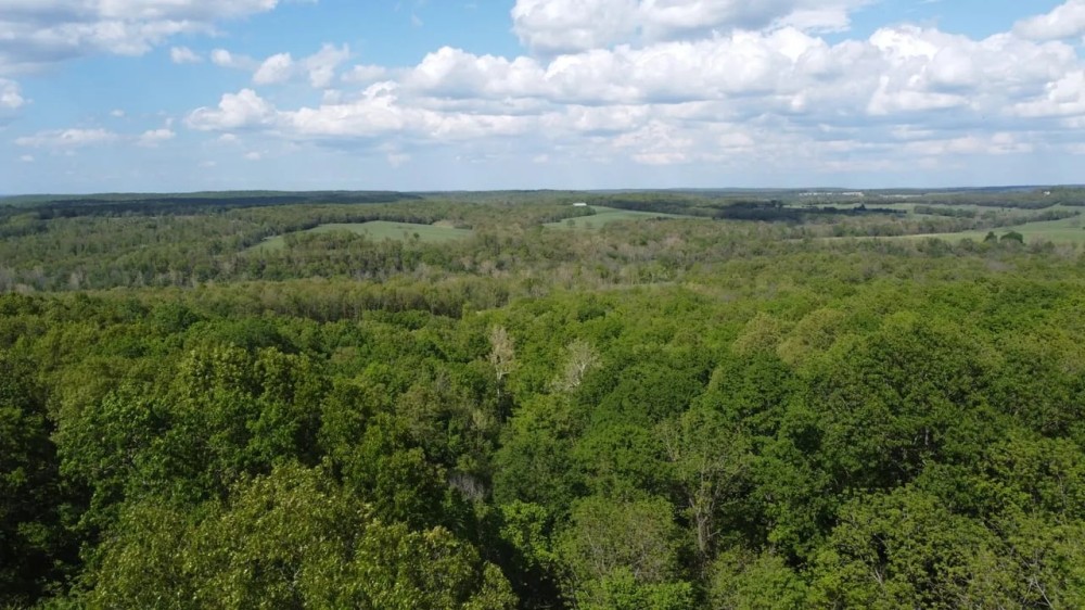 Laclede County Timber Land featured image