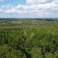 Laclede County Timber Land