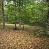 Ponderosa Valley Getaway images 2