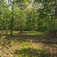 Ponderosa Valley Getaway images 3