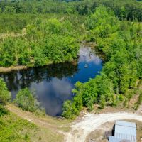 Emanuel County GA Pond and Pines