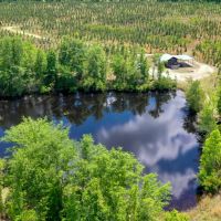 Emanuel County GA Pond and Pines images 3