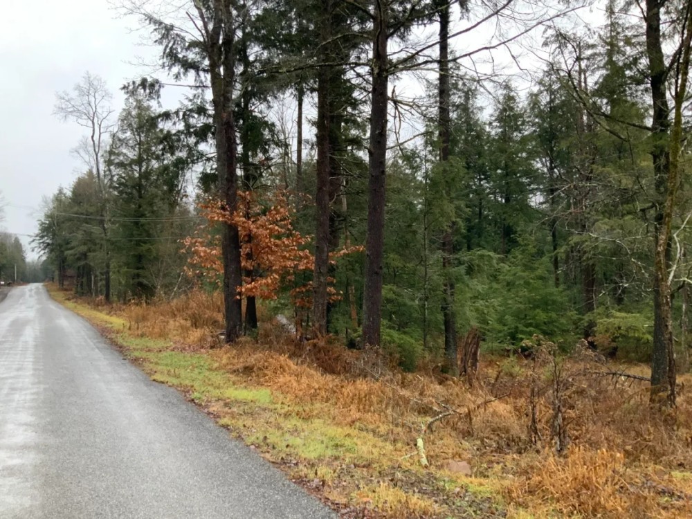 55 acre NY Northern Zone Hunting Land Constantia NY featured image