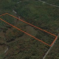 55 acre NY Northern Zone Hunting Land Constantia NY images 4