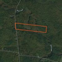 55 acre NY Northern Zone Hunting Land Constantia NY images 5