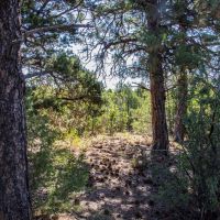 The Bluffs Ranch Lot 2 images 5