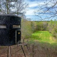 Quail Rise images 2