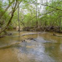 Quail Rise images 5