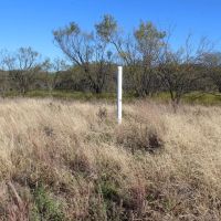 Homesites with oak trees a short commute from Downtown Ft. Worth images 5