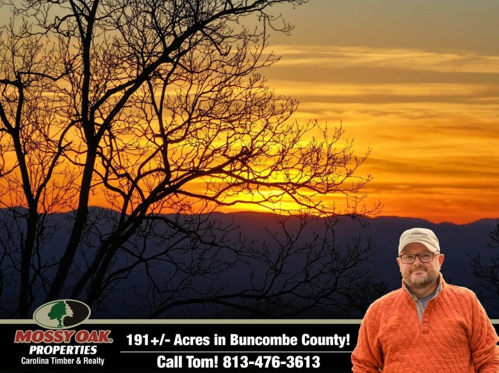 191 - Acres Bordering U.S. Forest Service in Weaverville NC featured image
