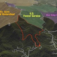 191 - Acres Bordering U.S. Forest Service in Weaverville NC images 3