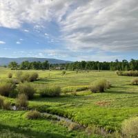 Sanchez Farm