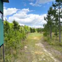 93 Acres Hunting Property with Pine Straw Lease