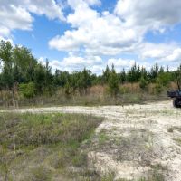 93 Acres Hunting Property with Pine Straw Lease images 4