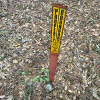 40 Acres in Waynesboro in Wayne County MS images 2