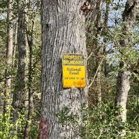 40 Acres in Waynesboro in Wayne County MS images 3
