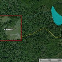 40 Acres in Waynesboro in Wayne County MS images 5