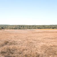 255.3 Acres in Warren County TN - The Martin Farm images 2