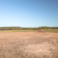 255.3 Acres in Warren County TN - The Martin Farm images 3