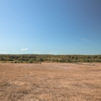255.3 Acres in Warren County TN - The Martin Farm images 4