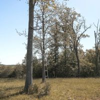 255.3 Acres in Warren County TN - The Martin Farm images 5