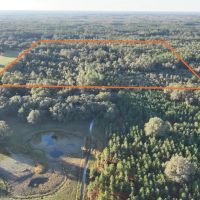 Chiefland 40 Acres images 2