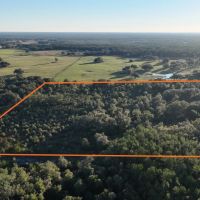Chiefland 40 Acres images 5