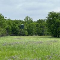AR - Mississippi 1004 acres - images 1