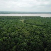 AR - Mississippi 1004 acres - images 2