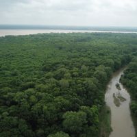 AR - Mississippi 1004 acres - images 3