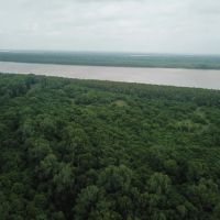 AR - Mississippi 1004 acres - images 4