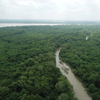 AR - Mississippi 1004 acres - images 5