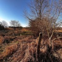 13 Acres - Lot 1 - Possible Building Site images 3