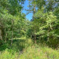 1 334 Acres FM 1008 images 2