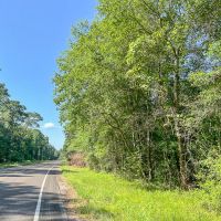 1 334 Acres FM 1008 images 5