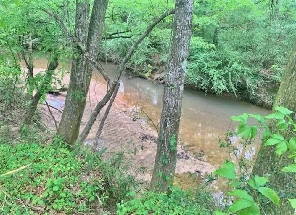 Riverfront Pine Timberland for sale in Pike County MS featured image
