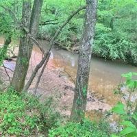 Riverfront Pine Timberland for sale in Pike County MS