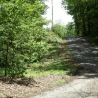 Walker Cove Rd images 2