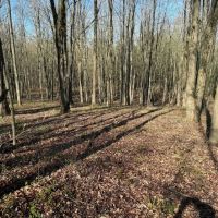 7.2 acre Building Lot and Recreational Land in Arkport NY Neu Road