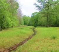 395 Acres with a Home in Leflore County at 1400 County Road 246 in Sidon MS images 2