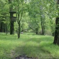 395 Acres with a Home in Leflore County at 1400 County Road 246 in Sidon MS images 5