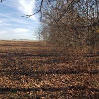 County Road 100 East 25 images 5