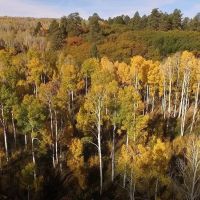 Elk Meadows images 5